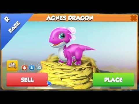 AGNES DRAGON Hatching! We Bred 2 Agnes Dragons ALREADY?! - DML #635