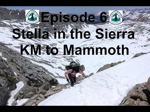 Stella Hikes Episode 6 - Stella in the Sierra - Miles 704.5-903 of the PCT