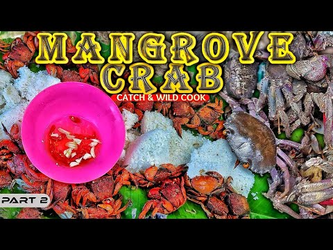 EP887-P2 - Mangrove Crab Catch and Wild Cook