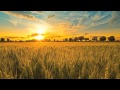 Fields of Grace- Big Daddy Weave HD