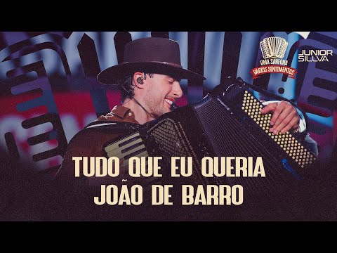Junior Sillva - Tudo Que Eu Queria/ João de Barro 