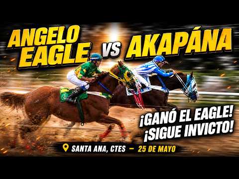 ANGELO EAGLE-Clasico Velocidad- Hipico Santa Ana Ctes -Lunes 25 de  mayo 2026