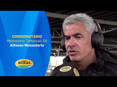 Alfonso Monasterio | Monasterio Tattersall SA | 24/02/26 | MV