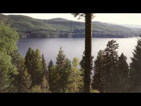 [free] nostalgic emo instrumental - "sometimes" (wisssery)