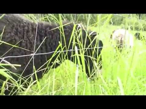 Kävin pyöräilemässä osa3