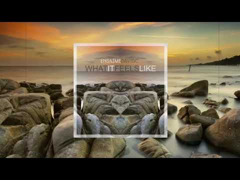 Ensaime & DavidC - What it feels like