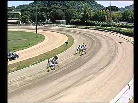 Trotto 31/05/2015 - 2° corsa