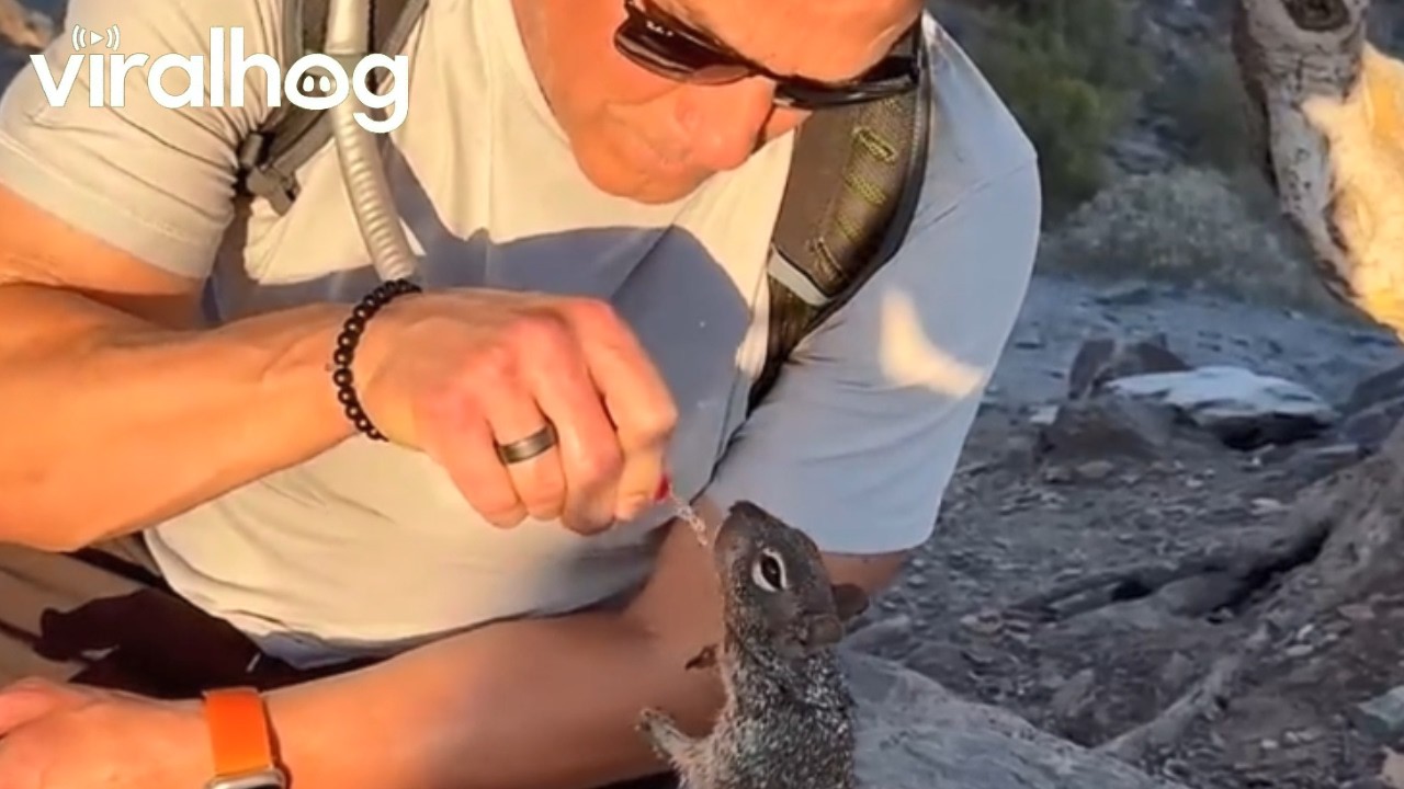 Hiker Shares Water With a Thirsty Squirrel || ViralHog