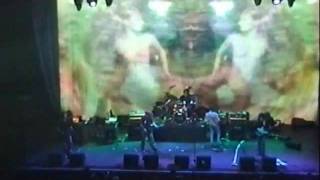 Bevis Frond @ the Roadburn, Lead on..wmv