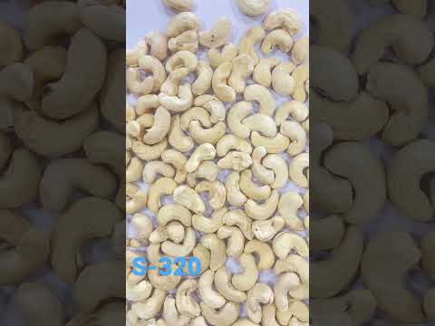 Sw Cashew Nut