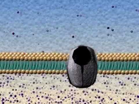 YouTube-forhåndsvisningsbillede