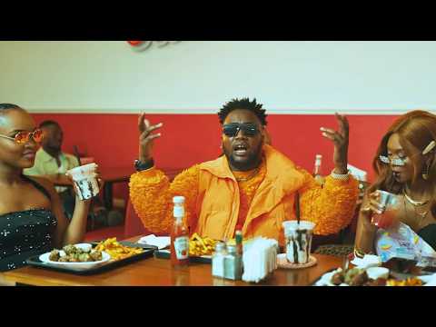 Dufla Diligon - Penguin (Official Music Video)