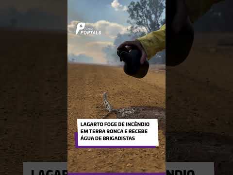 youtubee