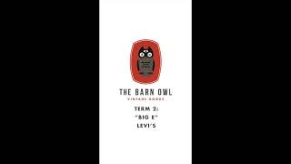 The Barn Owl Vintage Goods Beginners Guide to Dating Levi's Jeans