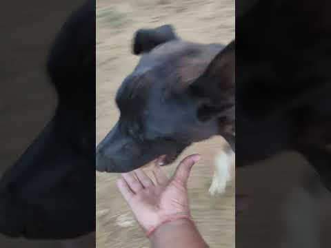 Sunday fun with my Oscar