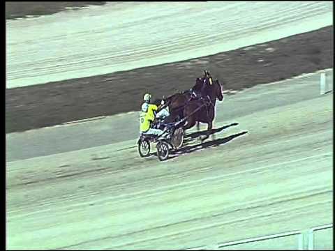 Trotto 20/09/2015 - 2° prova di qualifica