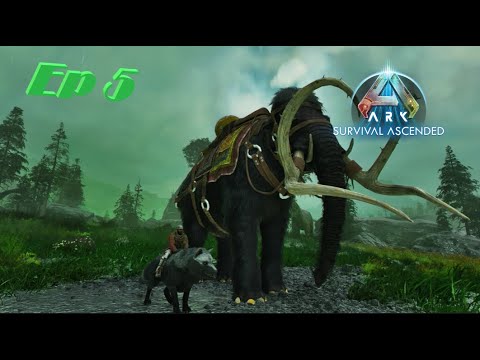 Valguero Ascended Ep 5 Going to Dangerous Areas to Tame a Mammoth and  a Surprise Direwolf Tame