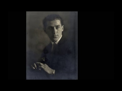 Decivilizator 29.11.2017. - Crnjanski među ruševinama...