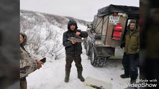 Рыбалка на севере воркута