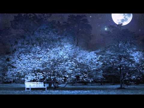 OverDrive Division - Paradise (Radio Edit) // GOOD SOURCE //