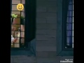 Pinnil Vann Kannu Potham Cute Video