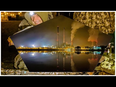 Jezioro Rybnickie grudzień 2021. Karpie z Rybnika.