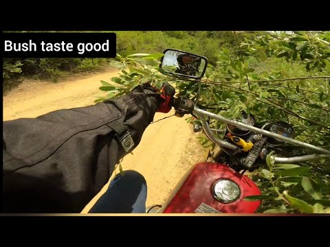 1982 Honda CM250C- Hill Climb Torture Testing With @GROMSQUATCH #cm250c #crf250l