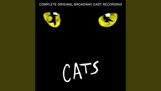 Grizabella: The Glamour Cat