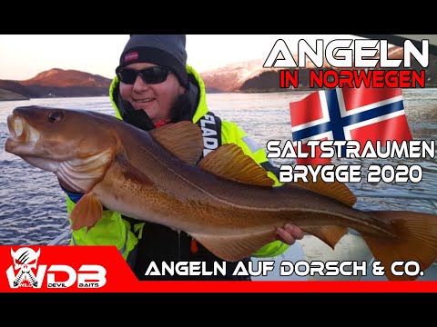 Angeln in Norwegen 2020 Saltstraumen Brygge Fishing Angel Berger Wild Devil Baits Tour