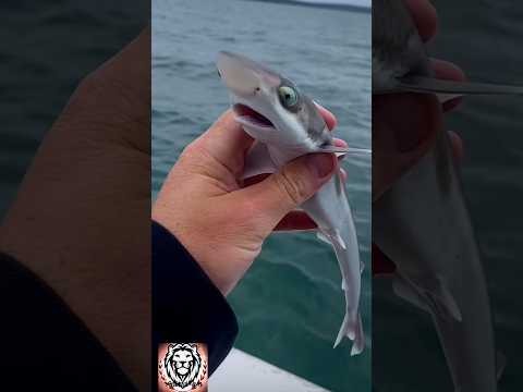 Evoluzione🔥#animali #primaedopo #trasformazione