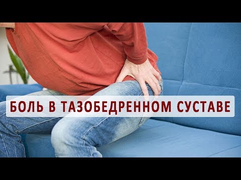 Кадаверный курс по артроскопии коленного сустава Откуда появляются межпозвонковые грыжи