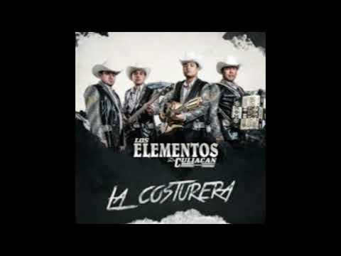 Los Elementos De Culiacan   Trago Del 70 LETRA Estreno 2019