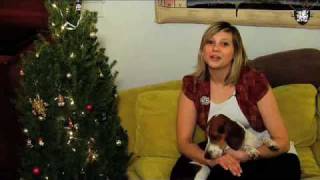 Silver Retro Christmas Tree, Decor it Yourself