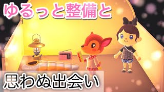 あつ森｜島クリエイターとキャンプ場での出会い♪あつまれどうぶつの森実況