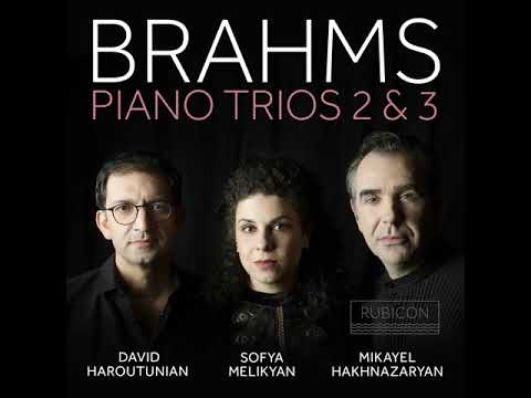 Piano Trio No. 3 in C Minor, Op. 101: IV. Finale. Allegro molto