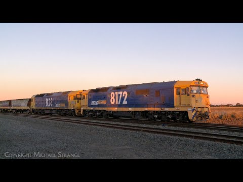 7731V Pacific National Grain Train With 8167 & BL33 Arrives At Gheringhap (16/5/2025) - PoathTV
