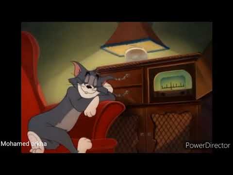 Tom listening to radio :  Fatima Tabaamrant 😃😃🤣