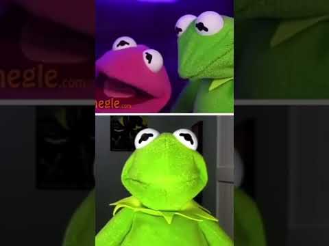 Kermit Loses His Girlfriend (Omegle Trolling)