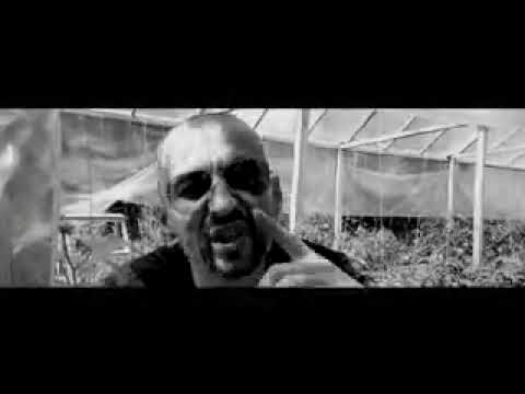 RESPECT Bani Gheata  dlb