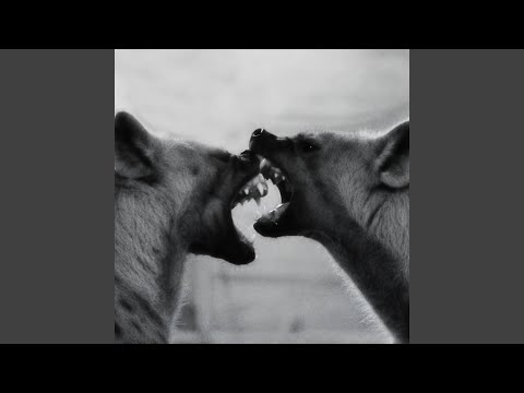 Quem Dá Costas É Presa