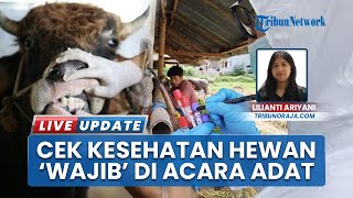 Pemeriksaan Kesehatan Hewan Wajib Setiap Acara Adat, Pemkab Toraja Utara: Cek Kelayakan Konsumsi