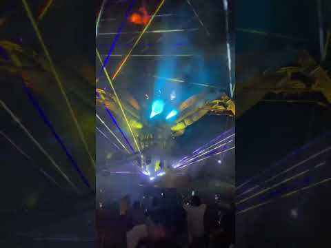 # Arcadia Music Festival # Spider