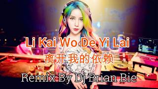 Download lagu Li Kai Wo De Yi Lai - 离开我的依赖 (Electro Manyao) By Dj Brian Bie #manyao #manyaoremix #manyaodj #dj mp3
