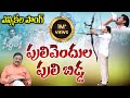 Memantha Siddham - Pulivendula Puli Bidda Song by BS Rambabu | YS Jagan Song | YCP Election Song2024