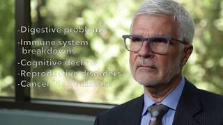 Do you eat Soy? Heard of Phytoestrogen? Well, wait before you take the next bite or drink of soy! Th