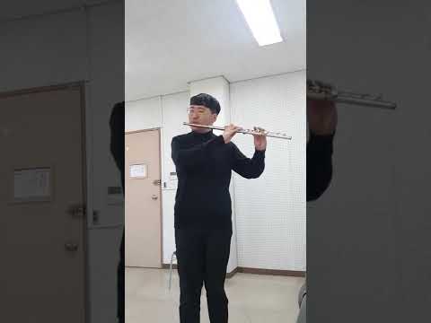 tsybin flute concerto allegro no.3