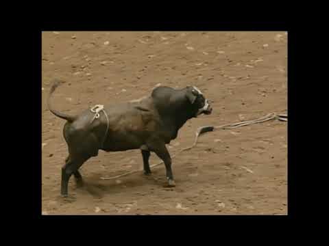 Tony Lama Boots bucks Casey Gates - 96 PBR Charlotte