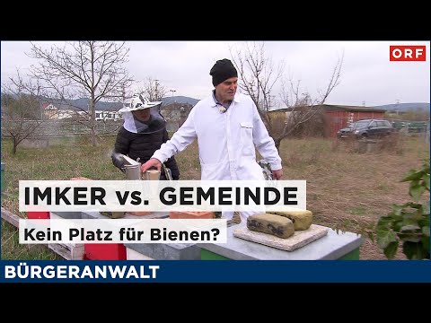 Beekeepers versus the municipality – No room for bees? | Ombudsman, September 20, 2025