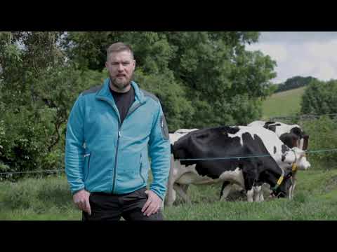 Der kompakte GEA Melkroboter Monobox R9500 im Laufstall von Michael Brügger in Madliswil BE