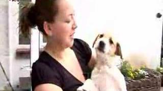 Charlotte Church video diary 21 May 2007